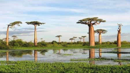 اليمن: الحكومة تخصص 17.5 مليون دولار لتعزيز سبل العيش في محميات سقطرى وحوف وعتمة