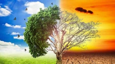 فرص: المركز الدولي للصحفيين يفتح باب التقديم لبرنامج المنح الإنتاجية