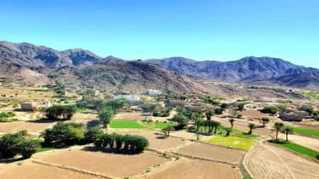 اليمن: شخص يقتل شقيقه بشبوة