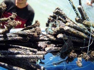 اليمن: مؤسسة الاتصالات التابعة للحوثيين تعلن انقطاع خدمات الانترنت والاتصالات عن محافظات المهرة وحضرموت وشبوة وأبين ومأرب والجوف