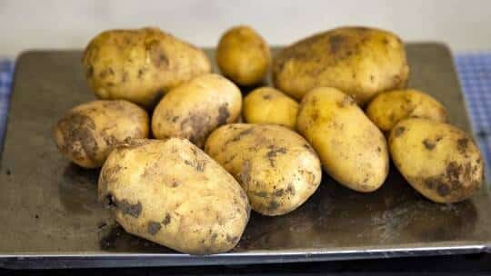 صحة: تعرف على الفوائد الغذائية للبطاطا