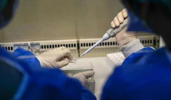 القاهرة: مصر تعلن تسجيل أول إصابة بفيروس جدري القرود