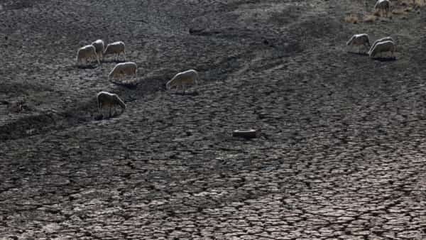 دراسة: موجات الحرّ تكلّف الدول الفقيرة أكثر من الغنية وتفاقم اللامساواة