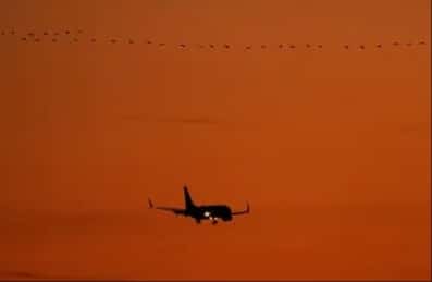 واشنطن: إيقاف جميع الرحلات الجوية الأمريكية المغادرة بعد انقطاع الكمبيوتر FAA