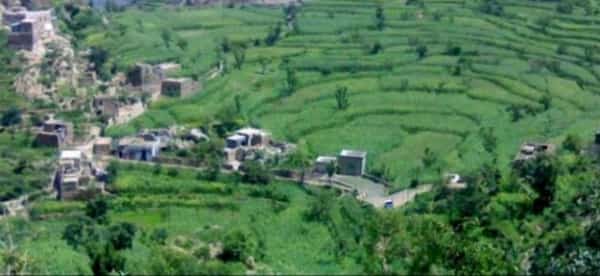 اليمن: وفاة 8  اشخاص وإصابة 5 اخرين بحادثة انقلاب سيارة في ريمة