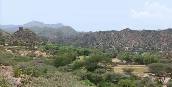 اليمن: وفاة طفلة غرقا في بئر بمحافظة أبين