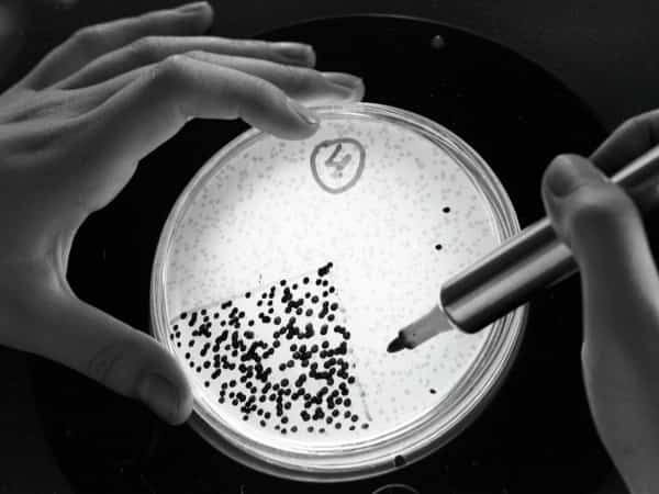 صحة: علماء يكتشفون علاجاً للسرطان بـ"البكتيريا المدربة"