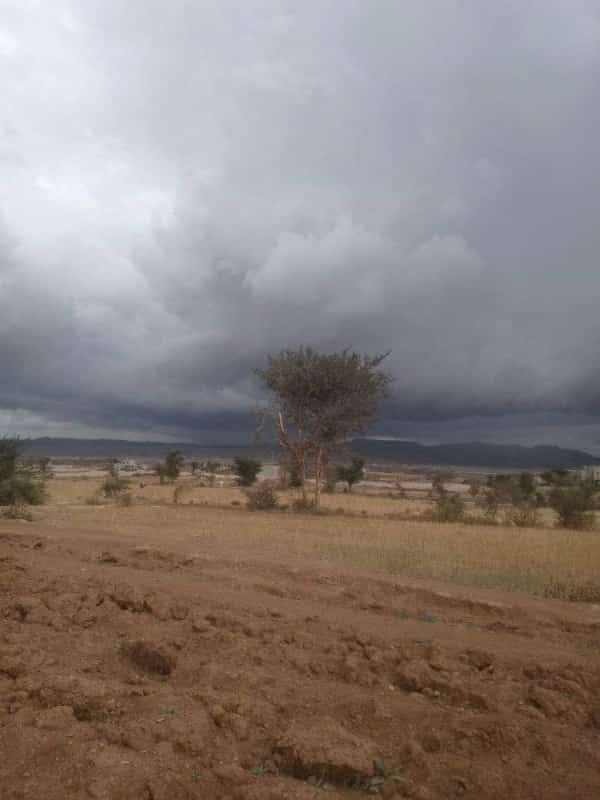 طقس: الأرصاد الجوية تحذر المواطنين من هطول أمطار غزيرة في 18 محافظة يمنية