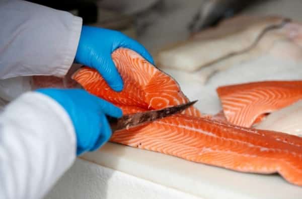 صحة: المعدل الطبيعي لفيتامين «B12» وأعراض نقصه وخطره