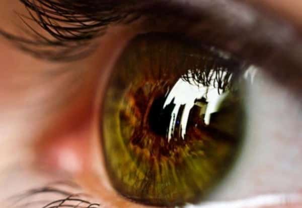 صحة: الفواكه والخضروات برتقالية اللون تحسّن الرؤية