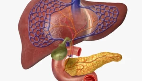 صحة: كيف تحافظ على صحة البنكرياس؟