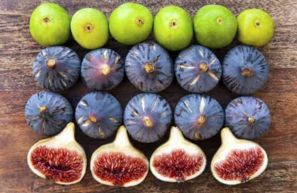 صحة: 6 فواكه تعزز مستوى الهيموغلوبين بشكل طبيعي