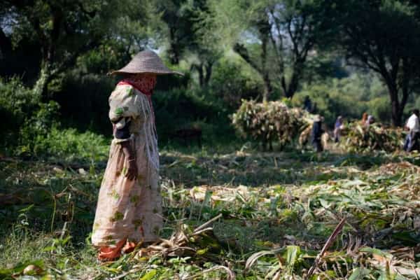 تحليل: حرب تمر على أجساد النساء
