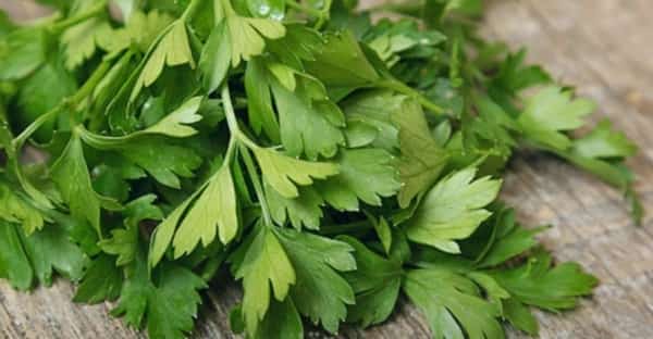 صحة: فوائد مذهلة قد لا تعرفها عن البقدونس