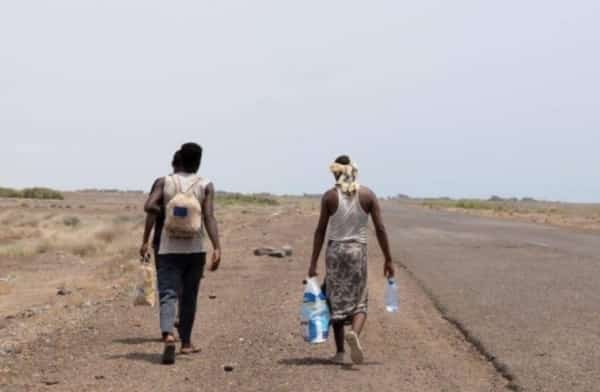 اليمن: وفاة 3 مهاجرين أفارقة في مايو