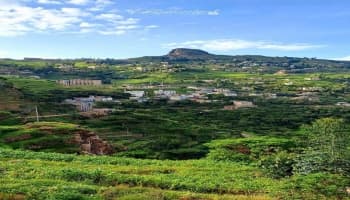 وصاب العالي، محافظة ذمار غربي البلاد.