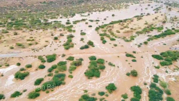 السلطات الصحية تطلب رفع الجاهزية تحسبا لموجة امطار غزيرة وسيول جارفة