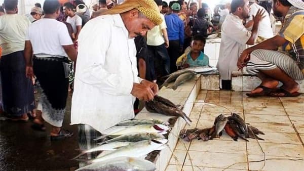 لا اسماك على المائدة في المدينة الساحلية