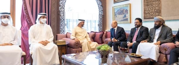 الامارات تتعهد بدعم كامل للسلطات الانتقالية الجديدة في اليمن