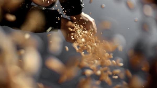 العرب وبدائل الأمن الغذائي بعد شهرين من حرب أوكرانيا