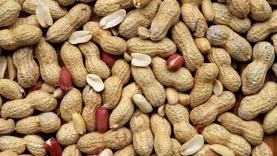 الفول السوداني هو الحل الأمثل لفقدان الوزن