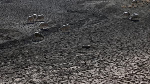 موجات الحرّ تكلّف الدول الفقيرة أكثر من الغنية وتفاقم اللامساواة