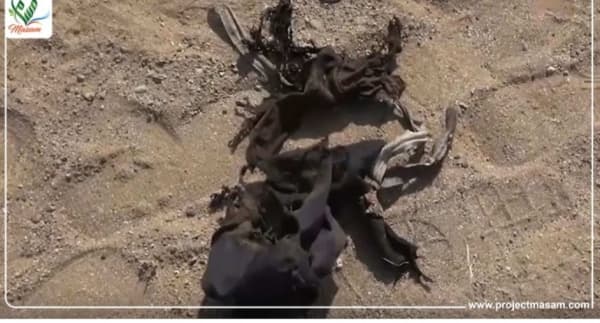 إصابة أربعة أطفال بانفجار لغم أرضي في المخا