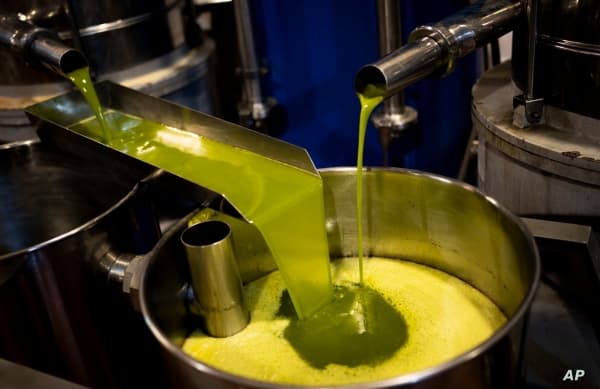 دراسة توصي بملعقة واحدة من زيت الزيتون يومياً للوقاية من الخرف