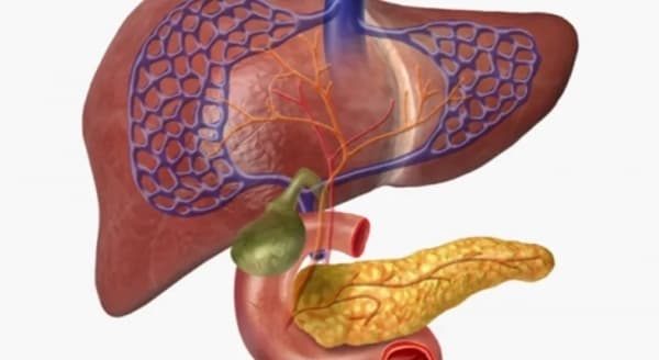 أعراض ‫التهاب البنكرياس والعلاج