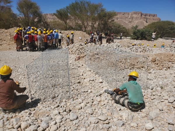 "الفاو" تنفذ مشروع لتوفير مياه الري وتحسين الإنتاج الزراعي في ثلاث محافظات بتمويل ألماني