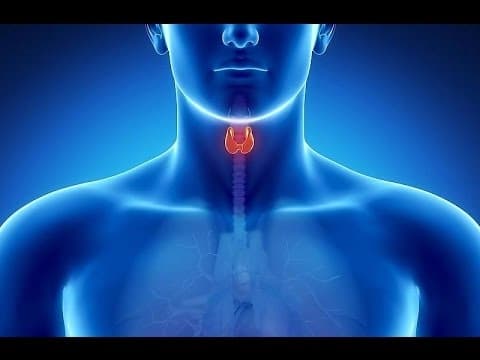 الإسهال والإمساك المزمنان يشيران لمشاكل الغدة الدرقية