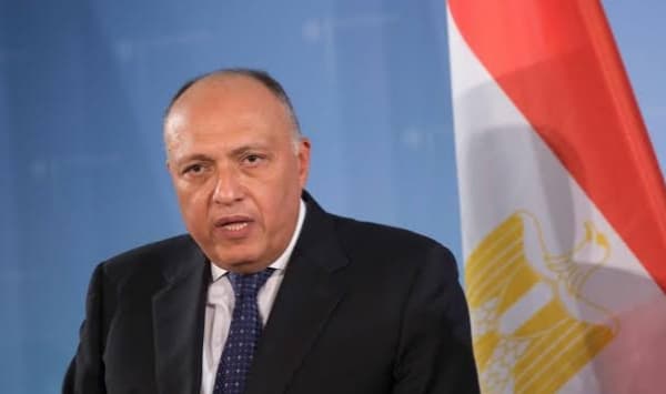 وزير الخارجية المصري يقول ان الدول المطلة على البحر الأحمر تتحمل مسؤولية لحماية حرية الملاحة