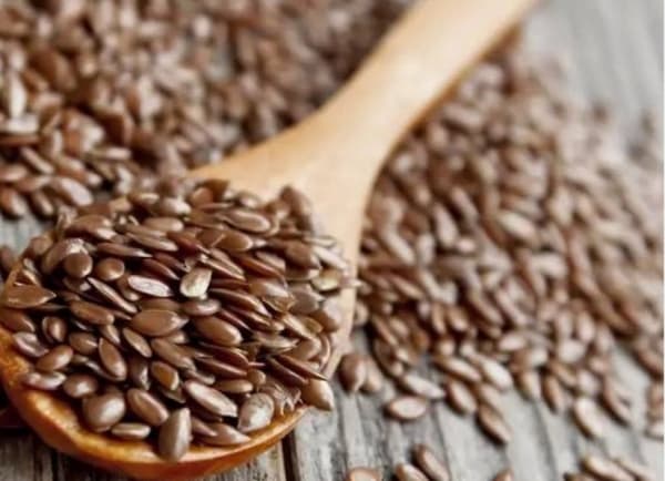 7 فوائد مذهلة لبذور الكتّان