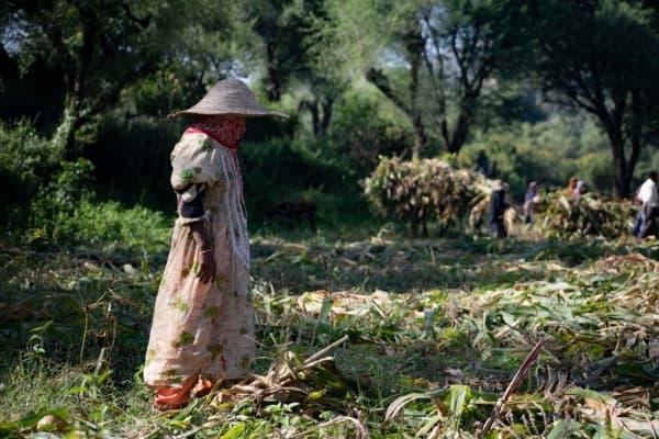 حرب تمر على أجساد النساء