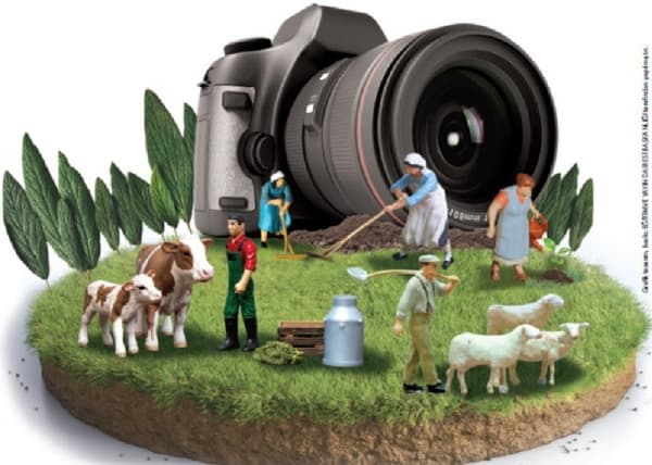 دعوة المصورين اليمنيين للمشاركة في مسابقة "التصوير الفوتوغرافي للزراعة والغابات" بتركيا