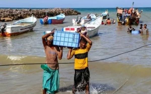 هل تصبح الأسماك غذاءً نادرًا في سواحل عدن؟