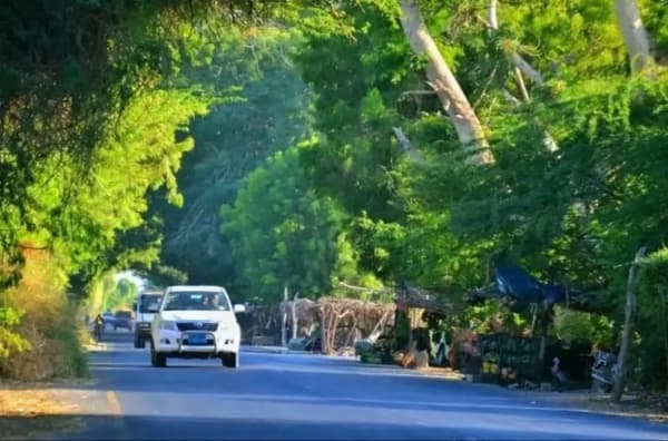 ضبط 380 كيس من الأحجار الكريمة أثناء تهريبها في أبين