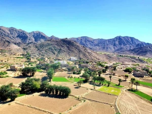 شخص يقتل شقيقه بشبوة