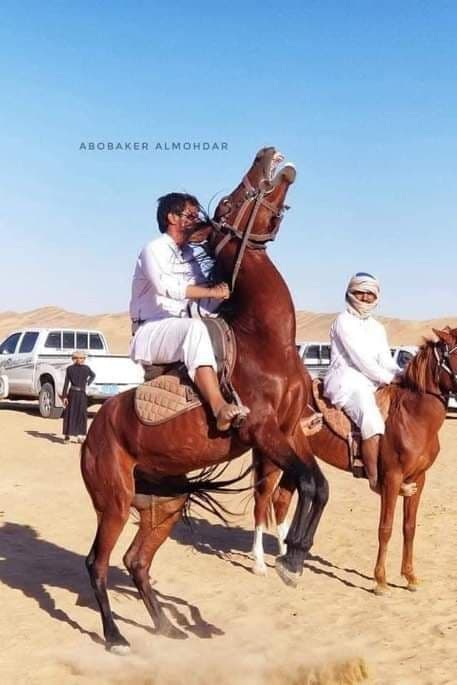 انطلاق مهرجان التراث والموروث الشعبي السادس في مديرية عسيلان بمحافظة شبوة.