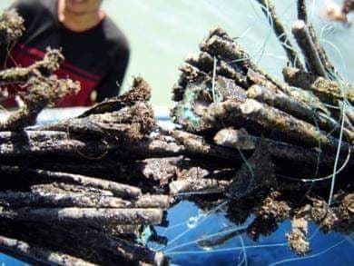 مؤسسة الاتصالات التابعة للحوثيين تعلن انقطاع خدمات الانترنت والاتصالات عن محافظات المهرة وحضرموت وشبوة وأبين ومأرب والجوف