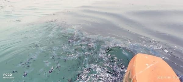 غرق سفينة نفط مملوكة لرجل الاعمال العيسي غربي عدن