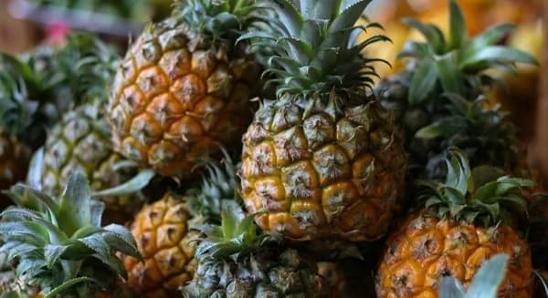 فوائد عديدة للأناناس تحميك من الإصابة بعديد الأمراض
