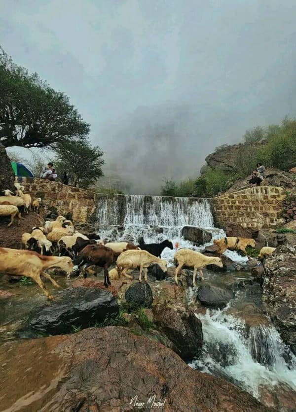 وفاة فتاتين غرقا في بركة مياه بالحيمة الخارجية بمحافظة صنعاء