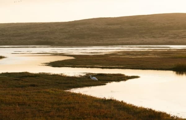 الحرب قد يتسبب في نفاد المياه