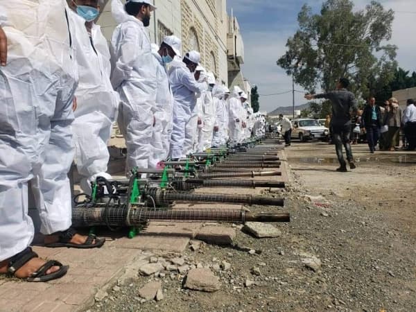 بدء حملة لمكافحة وباء حمى الضنك في تعز وأكثر من 11 ألف مصاب