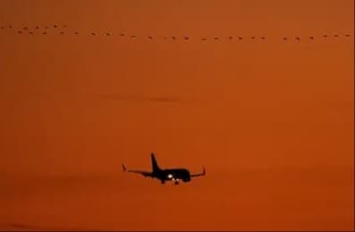 إيقاف جميع الرحلات الجوية الأمريكية المغادرة بعد انقطاع الكمبيوتر FAA