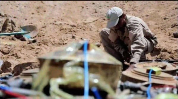 "مسام" يقول بأن اليمن يكاد يصبح أكثر دول العالم زراعة للألغام