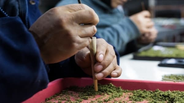 إحباط تهريب أكثر من طن ماريجوانا في مطار الملك عبد العزيز بالسعودية