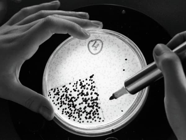 علماء يكتشفون علاجاً للسرطان بـ"البكتيريا المدربة"