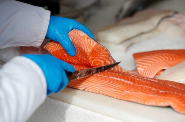 المعدل الطبيعي لفيتامين «B12» وأعراض نقصه وخطره